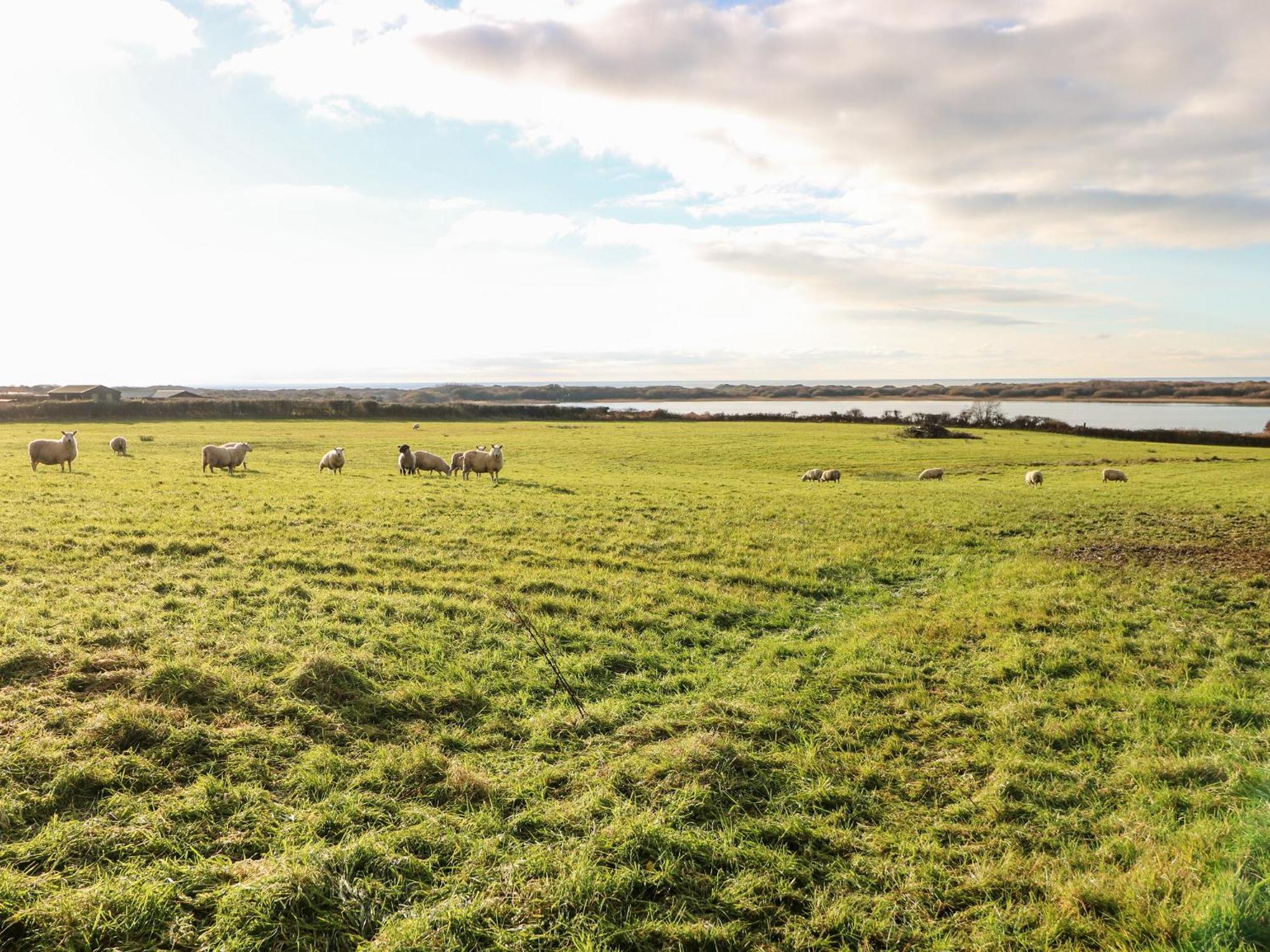 Kenfig Farm Villa Bridgend  Ngoại thất bức ảnh